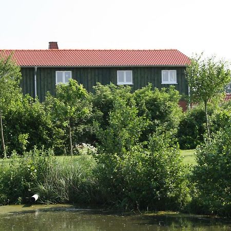 " Haus Zwischen Den Meeren " Strubbel Ngoại thất bức ảnh