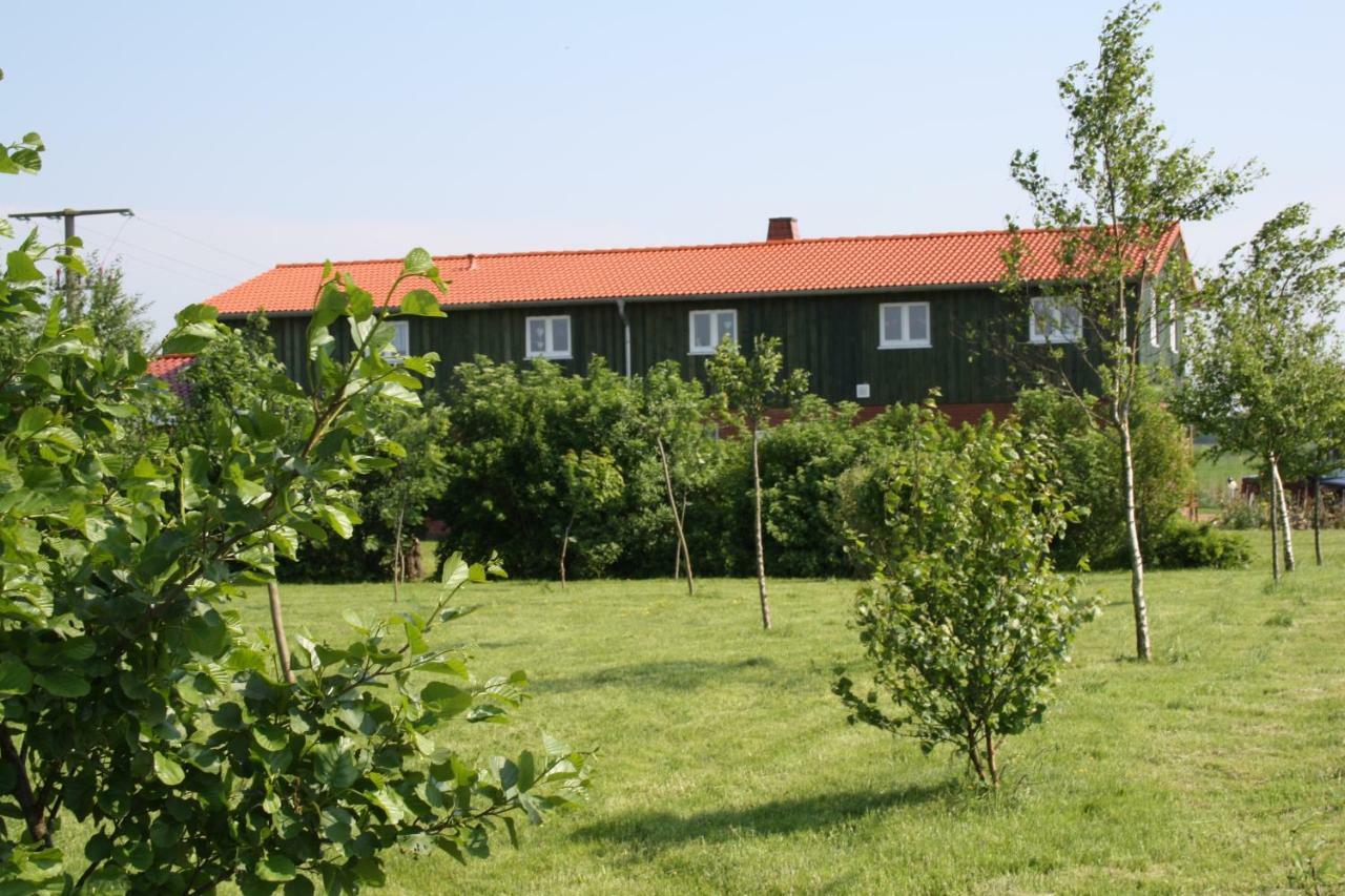 " Haus Zwischen Den Meeren " Strubbel Ngoại thất bức ảnh