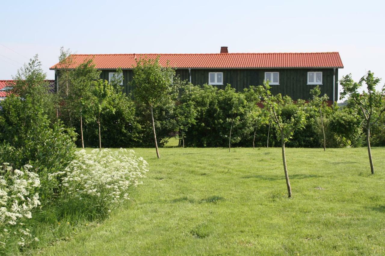" Haus Zwischen Den Meeren " Strubbel Ngoại thất bức ảnh